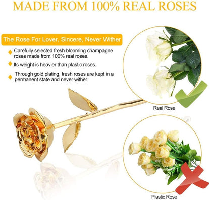 24K Gold Rose for Her, Eternal Eternity Love Real Golden Plated Preserved Eternal Rose Flower, Best Present for Anniversary Day Wife/Mom/Grandma/Women (Gold)